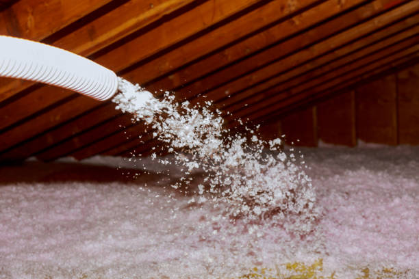 Best Eco-Friendly Insulation in Stevensville, MD