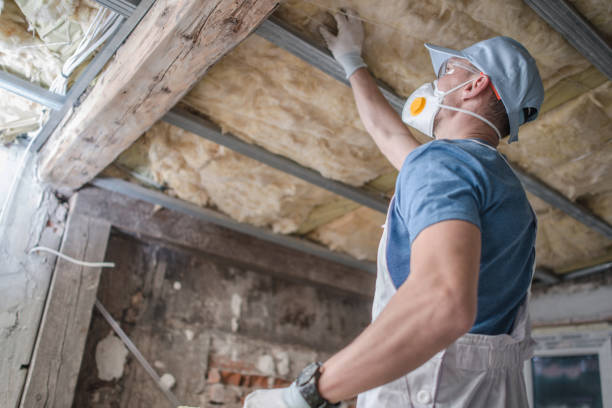 Best Energy Efficiency Insulation in Stevensville, MD