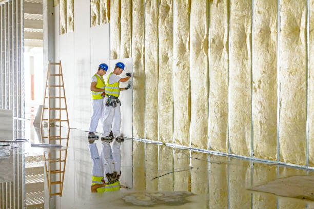 Best Cellulose Insulation in Stevensville, MD
